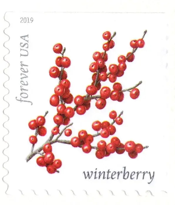 2019 USa Forever Winter Berries Stamps