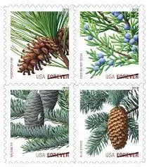 2009 USa Forever Holiday Evergreens Stamps