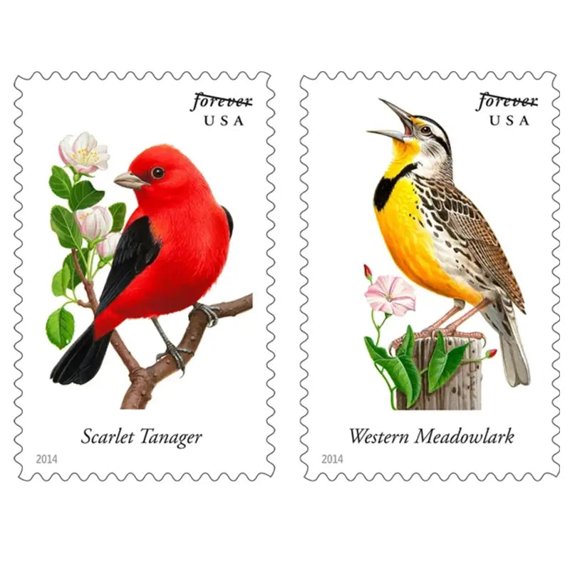 2014 USa Forever Songbirds Forever Stamps