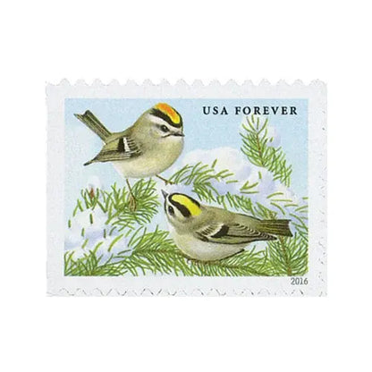 2016 USa Forever Songbirds in Snow Stamps