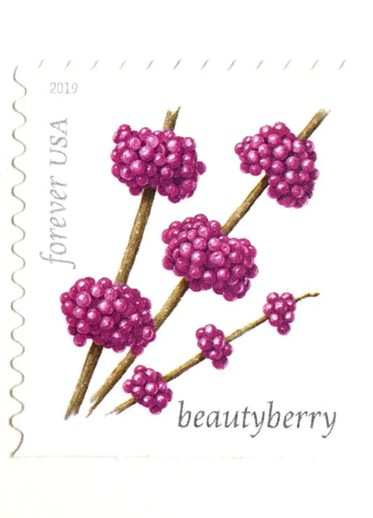 2019 USa Forever Winter Berries Stamps