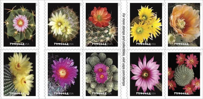 2019 USa Forever Cactus Flowers Stamps