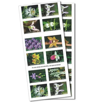 2020 USa Forever Wild Orchids Stamps