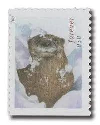 2021 USa Forever Otters in Snow Stamps