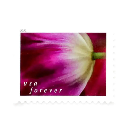 2023 USa Forever Tulip Blossoms Stamps