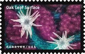 2023 USa Forever Life Magnified Explores Life on Earth Stamps
