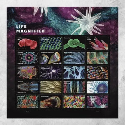 2023 USa Forever Life Magnified Explores Life on Earth Stamps