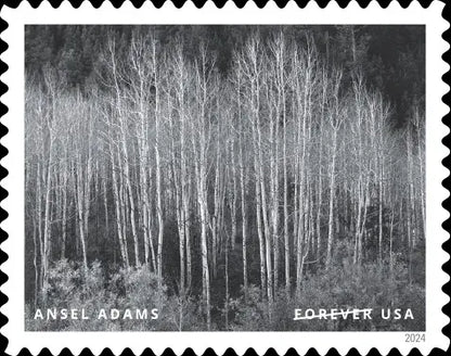 2024 USa Forever stamps-Ansel Adams