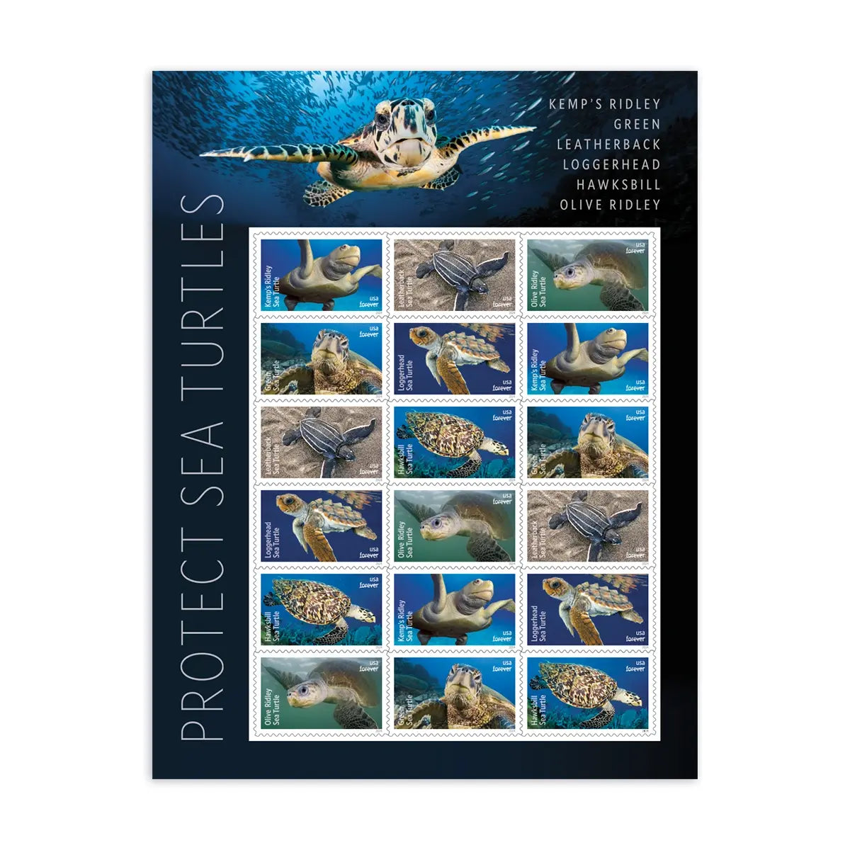 2024 USa Forever Protect Sea Turtles Stamps
