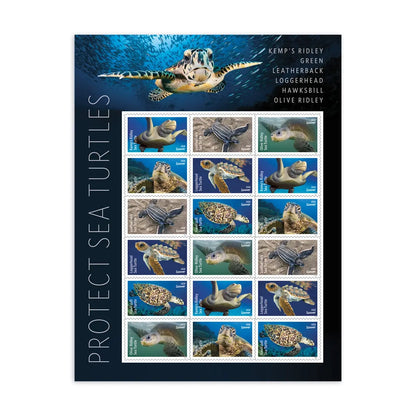 2024 USa Forever Protect Sea Turtles Stamps