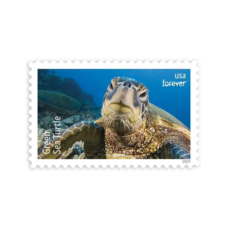 2024 USa Forever Protect Sea Turtles Stamps