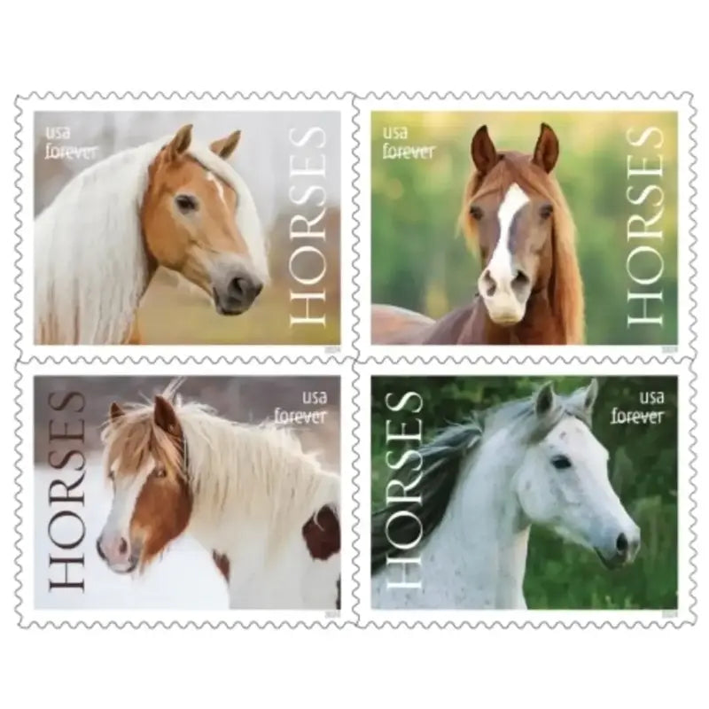 2024 USa Forever Horses Stamps forever stamps