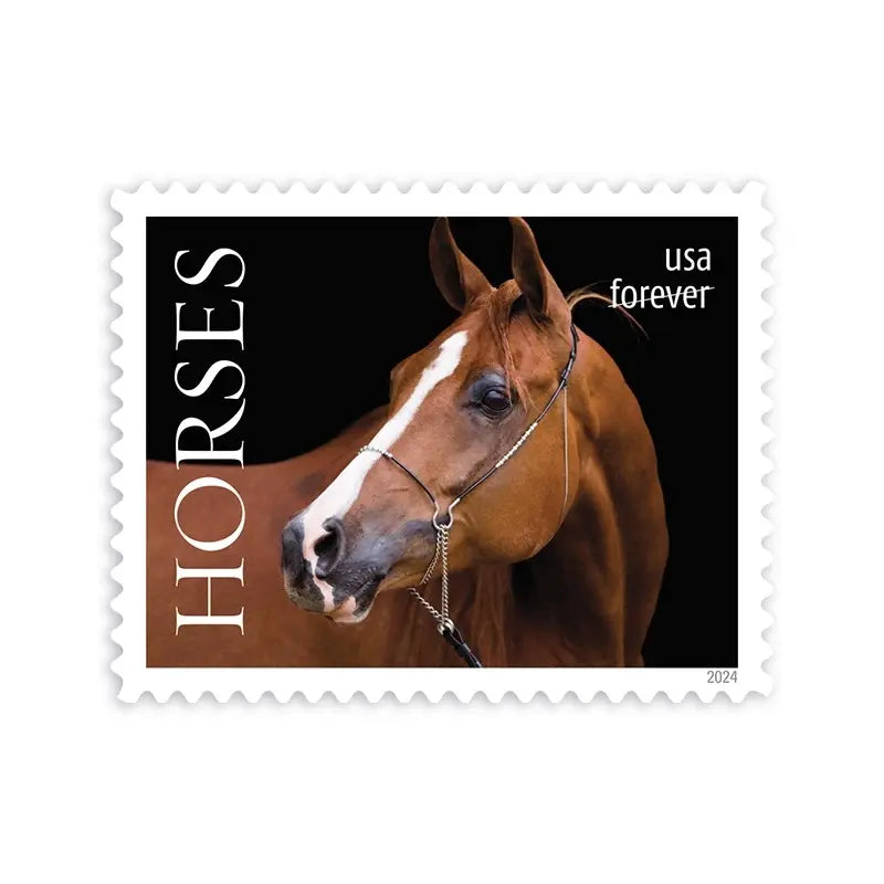 2024 USa Forever Horses Stamps forever stamps