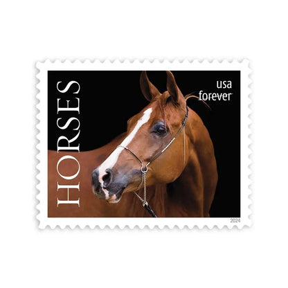 2024 USa Forever Horses Stamps forever stamps