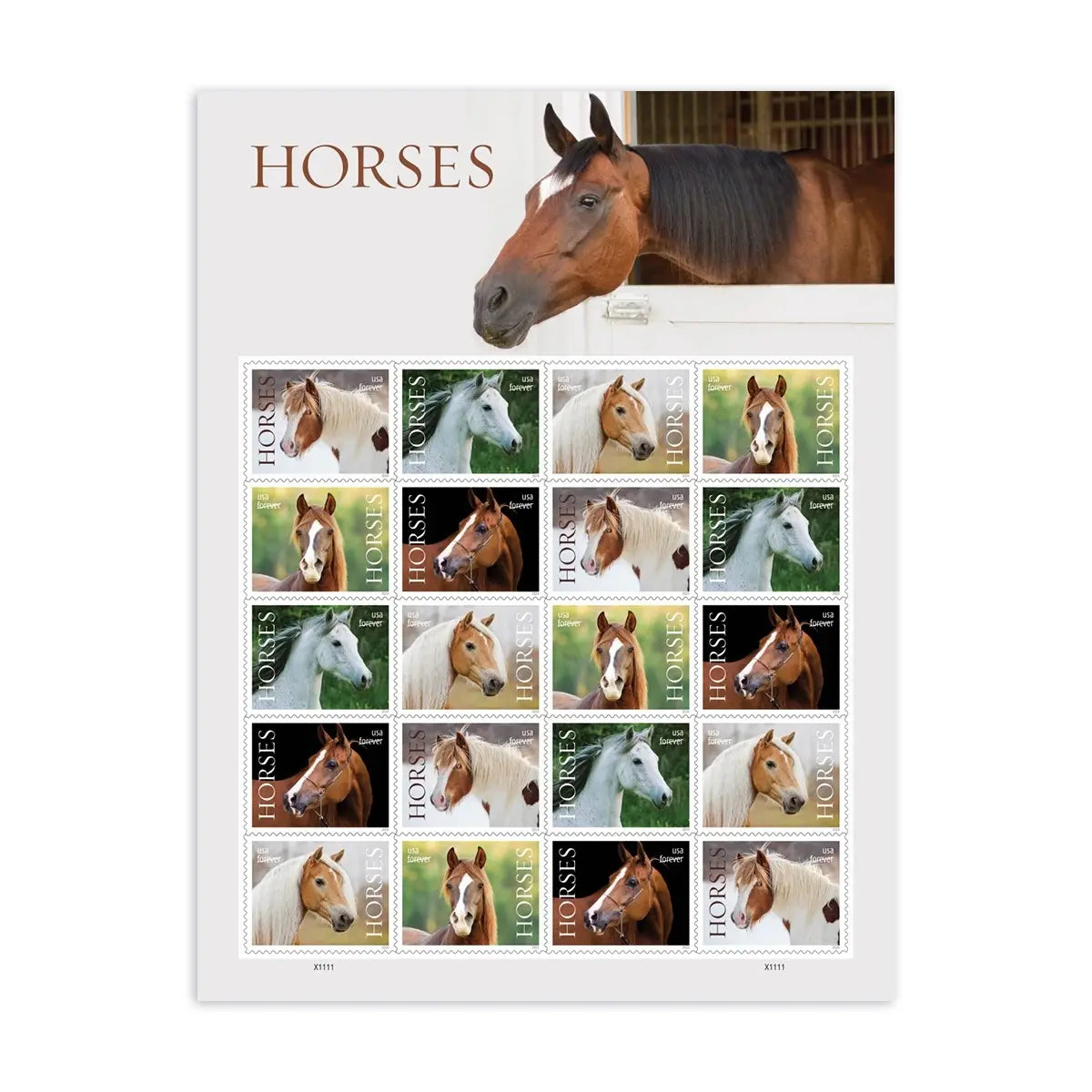 2024 USa Forever Horses Stamps forever stamps