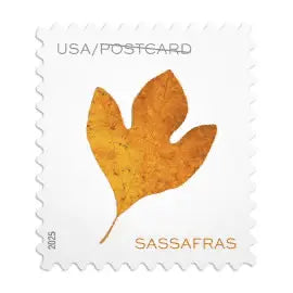 2025 USa Forever Vibrant Leaves Postcard Stamps