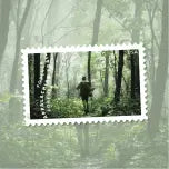 2025 USa Forever The Appalachian Trail Stamps