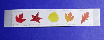 2025 USa Forever Vibrant Leaves Postcard Stamps Coil