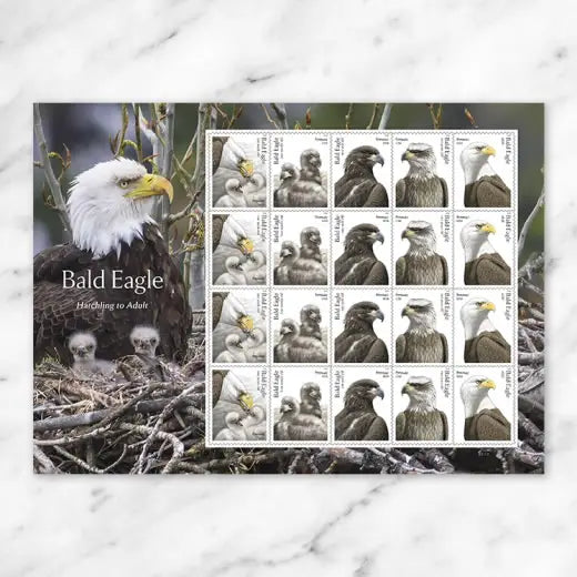 2026 Bald Eagle Hatchling to Adult Stamps.