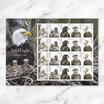 2026 Bald Eagle Hatchling to Adult Stamps.
