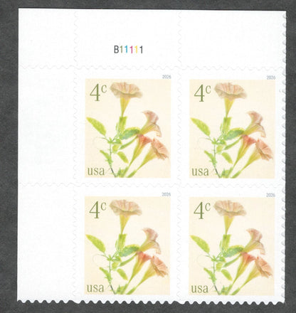 2026 USA 4c Angels Trumpets STAMPS